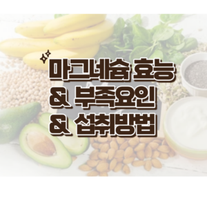 마그네슘 효능 & 부족요인 & 섭취방법