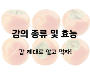 감의 종류 및 효능